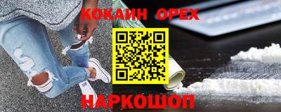 спайс Кингисепп