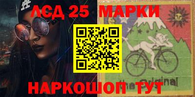 спайс Кингисепп