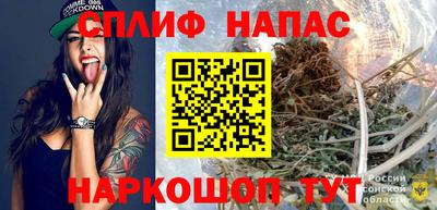 спайс Кингисепп
