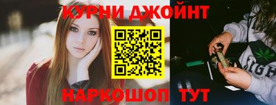 спайс Кингисепп