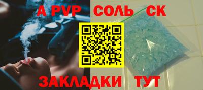 спайс Кингисепп