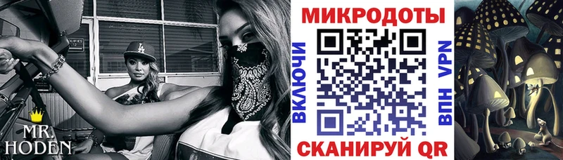 что такое   ОМГ ОМГ ссылки  Псилоцибиновые грибы MAGIC MUSHROOMS  Углич 