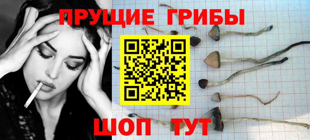 Гашиш  Кокаин  A-PVP СОЛЬ   ГАШИШ  Углич  Меф МЯУ МЯУ   Вход с VPN 