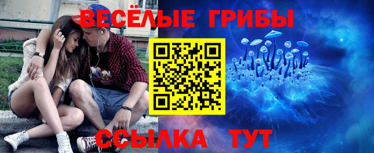 Углич  Галлюциногенные грибы Cubensis  Галлюциногенные грибы GOLDEN TEACHER  Вход с VPN 